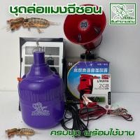 ราคา ชุดล่อแมงจีซอน ดักแมงจีซอน ดักแมลง ล่อแมลง (23961899211)