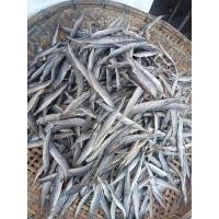 ราคา ปลาหลดตากแห้ง แห้งสนิท น้ำหนัก1กก (25987201874)