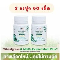 ราคา 2 กะปุก 60 เม็ด ผักเม็ด Globalone Wheatgrass Alfalfa Q10 ผักเม็ดนิวไลฟ์ (20185199627)