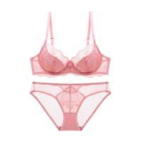 ราคา SANGWEN ชุดชั้นในลูกไม้เซ็กซี่ Victorias Secret สำหรับผู้หญิง ชุดชั้นในแบบบาง ป้องกันการหย่อนคล้อย ชุดชั้นในเสริมหน้าอก ชุดชั้นในแบบเกาะอก ชุดชั้นในฤดูร้อน (24878814405)