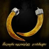 ราคา D เขี้ยวหมูตันหลวงพ่อไสว วัดปรีดาราม จารยันต์เต็มสูตร เลี่ยมพร้อมใช้ (25669885384)