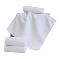 ราคา cod10pcs Lot White Small Face Hand Towels Kitchen Hotel Restaurant Kindergarten Cotton Towel for Beauty Salon (23847179436)