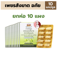 ราคา pack10แผง ยาแคปซูลเพชรสังฆาต ตราอภัยภูเบศร แผงละ 10 แคปซูล (25712455723)