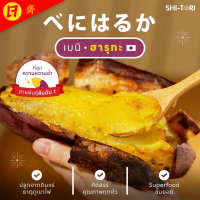 ราคา Shitori มันหวานญี่ปุ่นสายพันธุ์เบนิฮารุกะ ครบไซส์ S M L รสหวาน เนื่อฉ่ำ (24918011016)