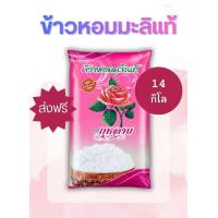 ราคา แท้ ส่งจากโรงสี ข้าวหอมมะลิกลางปี68 สีใหม่หอมฟุ้งไปทั่วบ้าน ข้าวที่ดีทีสุดของเมืองไทย ข้าว1 น้ำ1 3 1 5 แช่ไว้สักพัก นิ่มขึ้น 14KG ตรา ดอกกุหลาบชมพู (26273578368)