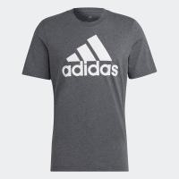ราคา adidas ไลฟ์สไตล์ เสื้อยืด Essentials Big Logo ผู้ชาย สีเทา HL2248 (22433852525)