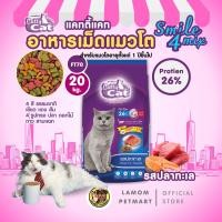 ราคา แคทตี้แคท 4 มิกซ์ 20 10 7 3 kg FT70 FT69 FT74 FT72 อาหารเม็ดแมว รสปลาทะเล โปรตีนสูง 26 บำรุงลำไส้ ลดก้อนขน ตาสดใส (25610977548)