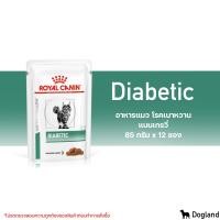 ราคา Royal Canin Diabetic อาหารแมว เบาหวาน (16420219979)
