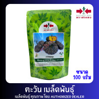 ราคา ฟักทองข้าวตอก 573 F1 เมล็ดพันธุ์ฟักทองลูกผสม ข้าวตอก ตราศรแดง ปริมาณ 100 กรัม (23411780375)