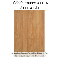 ราคา ไม้อัด ขนาด60x120ซม หนา4มม อิตาลี ไม้อัดสัก ได้4แผ่น แผ่นไม้ แผ่นไม้อัด MDF ชั้นวาง หน้าโต๊ะ หน้าเก้าอี้ ผนังกั้น BP (21552380180)