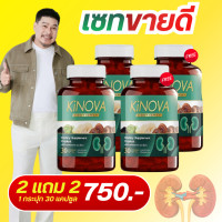 ราคา KINOVA คิโนว่า ผลิตภัณฑ์อาหารเสริมสำหรับไต บำรุงไต 1กระปุก30แคปซูล (26070507475)
