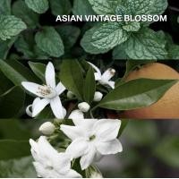ราคา KARMAKAMET Traditional Asian Potpourri คามาคาเมต บุหงารำไป น้ำมันหอมกระจายกลิ่น บ้าน กลิ่นหอม ปรับอากาศ (807820018)