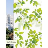 ราคา สติกเกอร์กระจกเพื่อความเป็นส่วนตัวสำหรับหน้าต่างและประตู (25415063891)