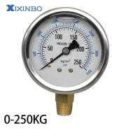 ราคา XIXINBO เกจวัดความดันไฮโดรลิคอุตสาหกรรม YN60ที่มีคุณสมบัติต้านทานแรงสั่นสะเทือน (25204212454)