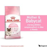 ราคา Royal Canin Mother Babycat อาหารสำหรับ แม่และลูกแมว (14186943119)