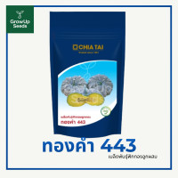 ราคา ฟักทอง ลายข้าวตอก ทองคำ 443 ฟักทองลูกผสม ตราเจียไต๋ 100 กรัม (25586278635)