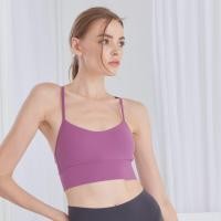 ราคา PENNY Polly Bra สปอร์ตบรา สายหลัง Y มีฟองน้ำ บราออกกำลังกาย บราโยคะ 16 สี 3 ไซส์ พร้อมส่งจากไทย (17426167125)