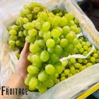 ราคา องุ่นเขียวไร้เมล็ด นำเข้า 1KG Green Grape CHN ลดพิเศษ องุ่นนอก องุ่นไร้เมล็ด องุ่นเขียวไร้เม็ด องุ่นทิมสัน (10287359460)