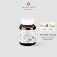 ราคา Moleculogy Glassy X 500 SOUL JOY Extra Gluta Pheo Mela ผลิตภัณฑ์เสริมอาหาร กลาสซี่เอ็กซ์ โซลจอยย์ กลูต้าฟีโอ (25013319978)