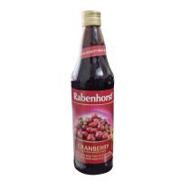 ราคา NATURAL EFE RABENHORST JUICE 750ml Antiox Cranberry Detox (23124862604)