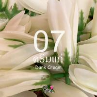 ราคา ดอกจำปีจำปาผ้า จำปีจำปาปลอม หัวดอกจำปีจำปาปลอมร้อยมาลัย Artificial Fabric Champaca มีรูสำหรับร้อยเข็ม เริ่ม 39 บาท ส่งไว (23086439323)