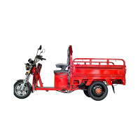 ราคา สามล้อไฟฟ้ากะบะ มีการรับประกันจากผู้ขาย จักรยานไฟฟ้า3ล้อ สามล้อไฟฟ้าบรรทุก NWOW รุ่นWarrior (25030593161)