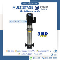 ราคา บ้านเครื่องกรอง ปั๊ม MULTISTAGE แนวตั้ง CNP รวมทุกรุ่น ปั๊มน้ำแบบสแตนเลส สินค้าพร้อมจัดส่ง ฟรี ประเก็นหน้าแปลน (23344490569)