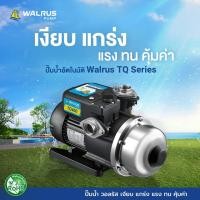 ราคา ปั๊มน้ำอัตโนมัติ ปั๊มออโต้ เสียงเงียบ ใบพัด Stainless 200 800 วัตต์ Automatic Booster Pump Summer TQ Series รุ่น TQ 200 TQ 400 TQ 800 (19184280478)