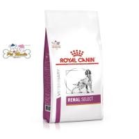ราคา Royal canin Renal Select สุนัขโรคไต 10 กก (3106420385)