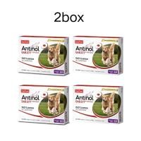 ราคา 3 กล่อง แถม 1 Antinol DOG 60 แคปซูล หมดอายุ 2027 บรรจุภัณฑ์ใหม่ อาหารเสริมบำรุงข้อต่อ ข้ออักเสบ 1 กล่องมี 60 เม็ด (126225361753)