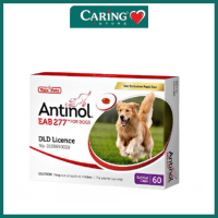 ราคา ซื้อ 3 ชิ้น แถมฟรี 1 ชิ้นลดราคาพิเศษ Antinol DOG Antinol Dog 60 แคปซูล 1 กล่อง อาหารเสริมสำหรับโรคข้ออักเสบ Antinol (26176967408)