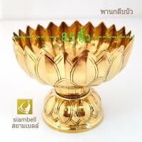 ราคา siambell 4 ถึง 9 นิ้ว พานกลีบบัว สยามเบลล์ พานทองเหลืองกลีบบัวโตกทองเหลือง ถาดทองเหลือง พานทองเหลือง ทรงกลีบบัว (18006201320)