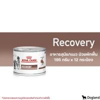 ราคา Royal Canin Recovery อาหารสัตว์ป่วย พักฟื้น (433451903)