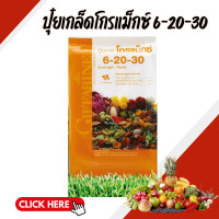 ราคา ปุ๋ย ปุ๋ยกิฟฟารีน เกล็ดโกรแม็กซ์ สูตร 6 20 30 (22282059207)