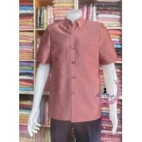 ราคา เสื้อซาฟารีสูทชาย ผ้าไหมแพรทิพย์ (23961909689)