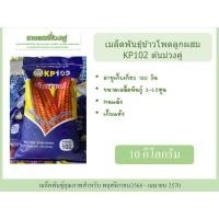 ราคา เมล็ดพันธุ์ข้าวโพดเลี้ยงสัตว์ เมล็ดพันธุ์ข้าวโพดต้นม่วงคู่ บรรจุ10กิโลกรัม ขนาดเมล็ด3 5หุน เก็บแห้ง (24062474997)