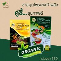 ราคา ชาสมุนไพรนพเก้า ชาสมุนไพร ชานพเก้า เซต 2 กล่อง ราคา 700 (21701703312)