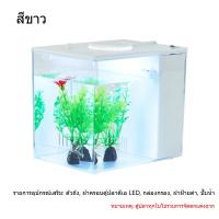 ราคา Aimayapet COD ตู้ปลาเดสก์ท็อป ตู้ปลาพลาสติก ระบบกรองน้ำพร้อมไฟ ตู้ปลาตกแต่งสวยงาม ระบบผลิตออกซิเจนอัตโนมัติ (25263457113)
