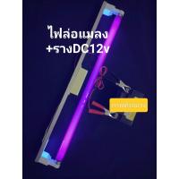 ราคา หลอดแบล็คไลท์ รางแบตเตอรี่ DC 12V หลอดไฟล่อแมลง หลอดไฟดักแมลง 18W หลอดแบล็คไลท์ Black Light แสงสีม่วง (126446113169)