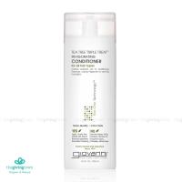 ราคา Giovanni Tea Tree แชมพู ครีมนวดผม ไม่ทำร้ายผมทำสี Eco Chic Tea Tree Triple Treat Invigorating 250 มล ผมทำสีใช้ได้ (12406869835)