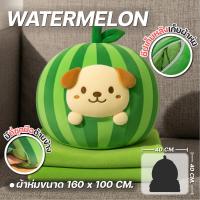 ราคา ตุ๊กตาหมอนผ้าห่ม 3 in 1 ลายน่ารัก หมอนผ้าห่มพกพา ใช้เป็นตุ๊กตากอด หมอนซุกมือ และผ้าห่ม ขนาด 40x40 ซม ผ้าห่ม 100x160 ซม (26491778427)
