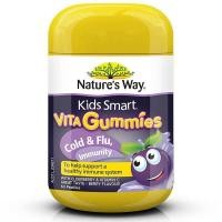 ราคา Nature S Way Kids Smart Vita Gummies Cold Flu Immunity 60Caps (21290298782)