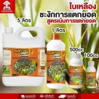 ราคา ดันยอดดี แก้ใบเหลือง เร่งแตกยอด กะเพรา โหระพา แมงลัก กระตุ้นการแตกยอดใหม่ ใบเขียวสด แข็งแรง สูตรเน้นการแตกยอด เห็นผลไว (24860106402)