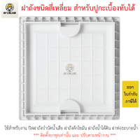 ราคา ฝาถังบำบัดน้ำเสียชนิดสี่เหลี่ยม สำหรับปูกะเบื้องทับได้ ฝาท่อระบายน้ำ ฝาถังดักไขมัน ฝาถังน้ำใต้ดิน (25766411890)