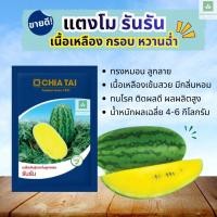 ราคา แตงโมรันรัน 40กรัม ซอง เนื้อเหลือง ลูกลาย ทรงหมอน เมล็ดพันธุ์แตงโม เจียไต๋ (126419896614)