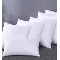 ราคา White Pillow Core 30x50cm 45x45cm 50x50cm 40x120cm Long Body Throw Pillow Insert Rectangle Pillow Sofa Bed Couch Inner Cushion (24131513335)
