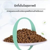 ราคา Besee อาหารแมวสำหรับลูกแมวและแมวโต 20 กก (26392247806)