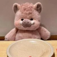 ราคา Love Cozy หมูหอมน้อยตลก ตุ๊กตาสามารถวิ่งได้ หมอนหนุนหมูป่าน้อย ของขวัญสำหรับเพื่อน ขนาด 45cm ของขวัญวันคริสต์มาส (25492367238)