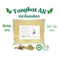 ราคา ผงปลาไหลเผือก 500 กรัม Tongkat Ali 500 g ปลาไหลเผือก (22345448887)