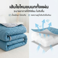 ราคา WEHOME ผ้าห่มนวมเย็น Summer Cool Quilt ลายใบโคลเวอร์ ผ้าไหมเย็น นุ่มลื่น กันไรฝุ่น ระบายอากาศ 5ft 6ft (26071606827)